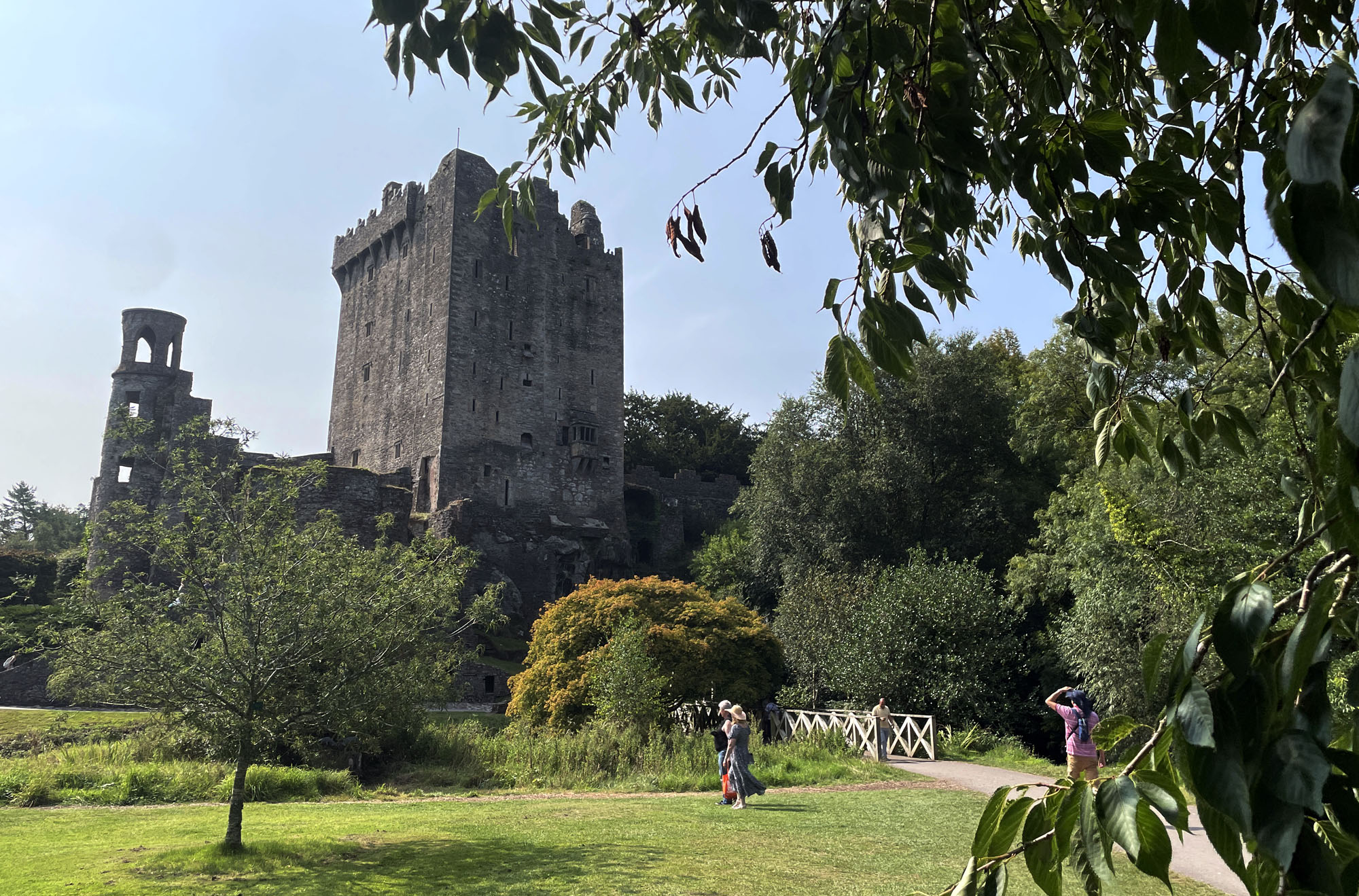 WRT - Ireland Aug 2025 - 30.jpg